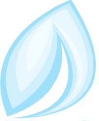Pesukaverit Logo